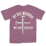 By His Wounds | Berry back