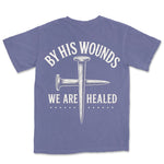 By His Wounds | Grape back