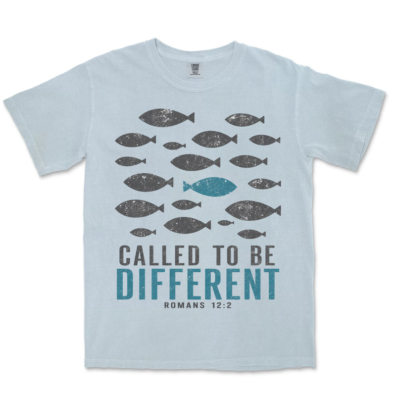Called To Be Different Fish | Chambray front