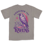 Consider The Ravens | Grey back