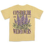 Consider The Lupines | Butter back