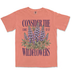 Consider The Lupines | Terracotta front