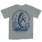 Deep Waters Humpback Whale | Granite back