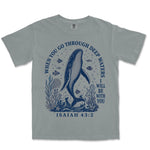Deep Waters Humpback Whale | Granite front