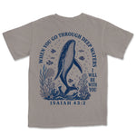 Deep Waters Humpback Whale | Grey back