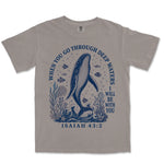 Deep Waters Humpback Whale | Grey front