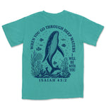 Deep Waters Humpback Whale | Sea Foam back