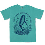 Deep Waters Humpback Whale | Sea Foam front