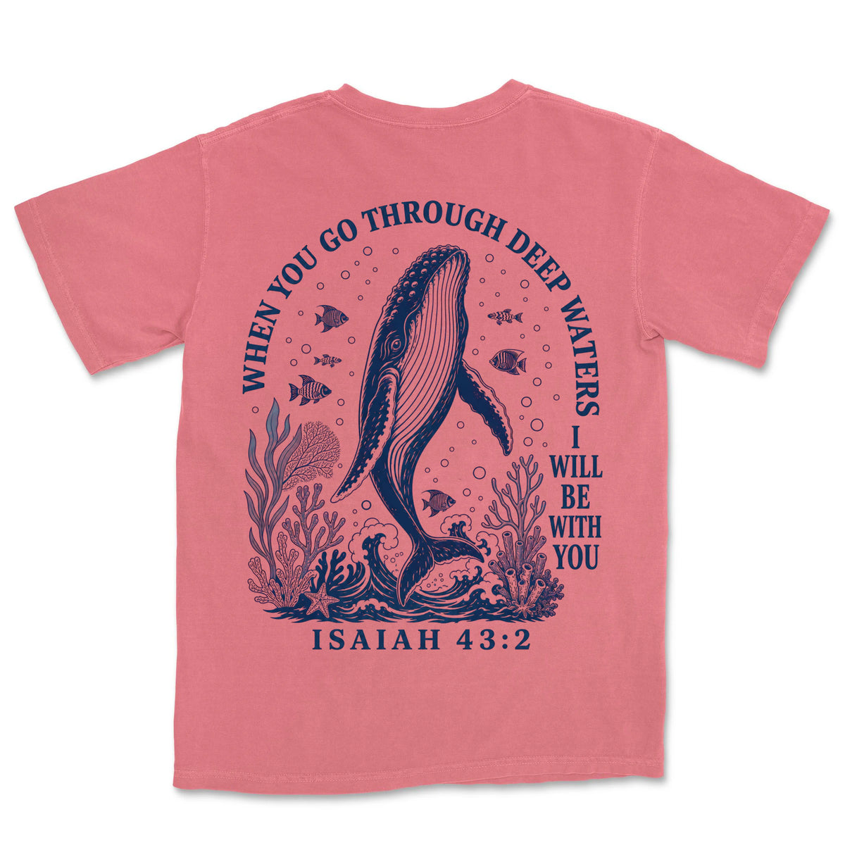 Deep Waters Humpback Whale | Watermelon back