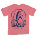 Deep Waters Humpback Whale | Watermelon back