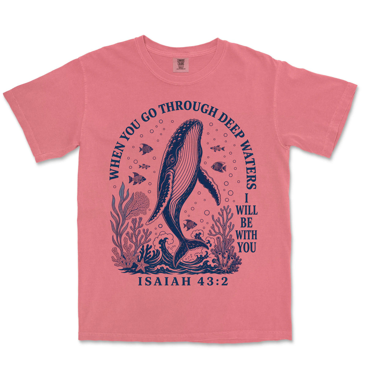Deep Waters Humpback Whale | Watermelon front