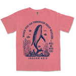 Deep Waters Humpback Whale | Watermelon front