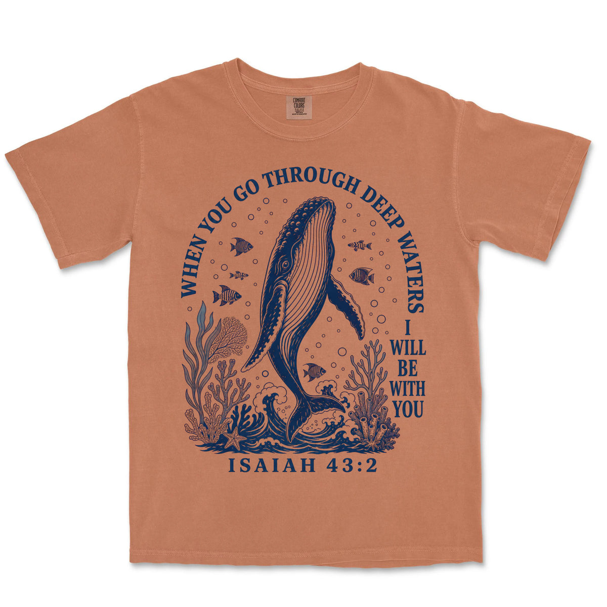 Deep Waters Humpback Whale | Yam front