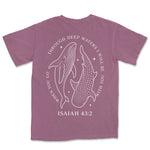 Through Deep Waters Whales | Berry back