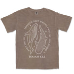 Through Deep Waters Whales | Espresso front
