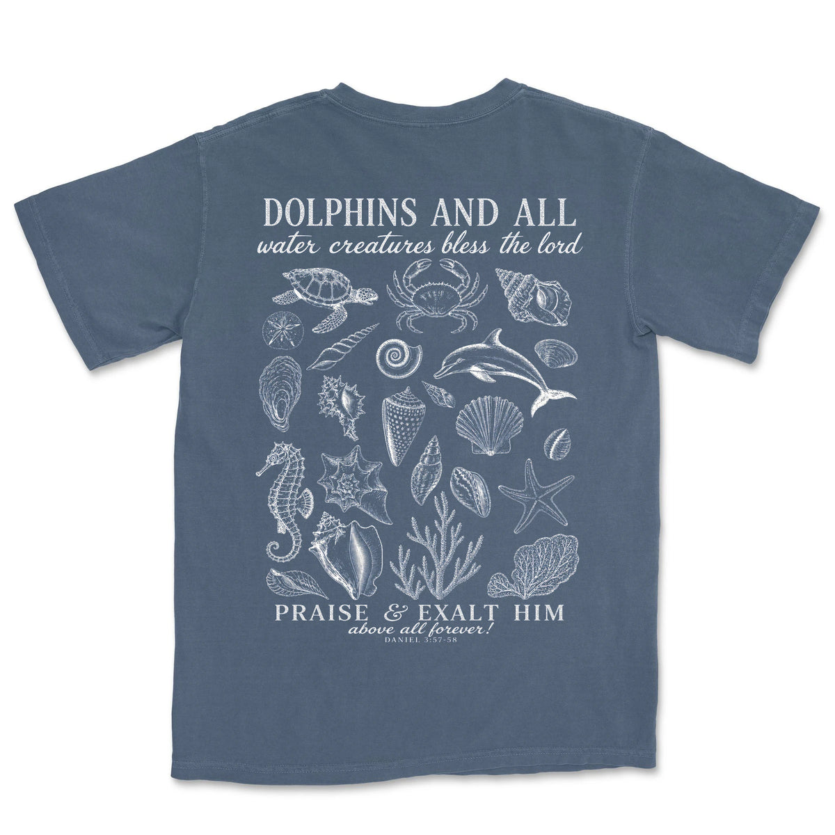 Dolphins Bless The Lord | Denim back