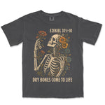 Dry Bones Come To Life | Graphite front