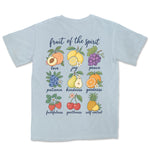 Fruit Of The Spirit Grid | Chambray back
