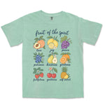 Fruit Of The Spirit Grid | Island Reef front