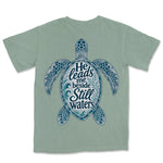 Still Waters Sea Turtle | Bay back