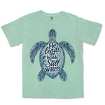 Still Waters Sea Turtle | Island Reef front