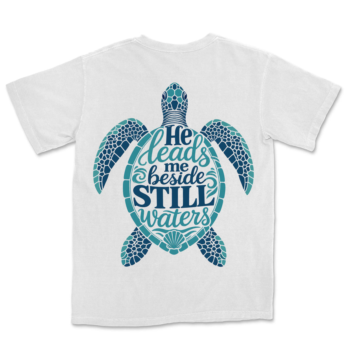 Still Waters Sea Turtle | White back