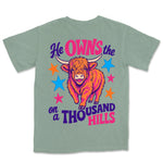 Thousand Hills Highland Cow | Bay back