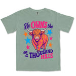 Thousand Hills Highland Cow | Bay front