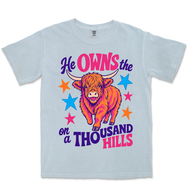 Thousand Hills Highland Cow | Chambray front