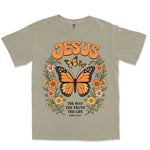 Jesus Monarch Butterfly | Sandstone front