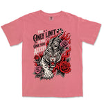 The Only Limit Is The One You Accept | Watermelon front