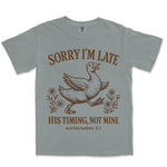 Sorry I'm Late Goose | Granite front