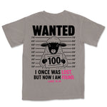 Wanted Lost Sheep | Grey back