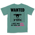 Wanted Lost Sheep | Light Green back