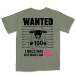 Wanted Lost Sheep | Sage back