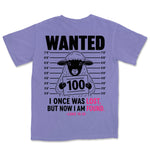 Wanted Lost Sheep | Violet back