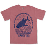 Deep Waters Whale Shark | Crimson front
